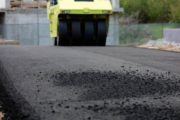 Best Professional Driveway Pavers  in Georgetown, DE