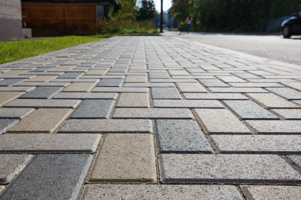 Best Local Driveway Pavers  in Georgetown, DE